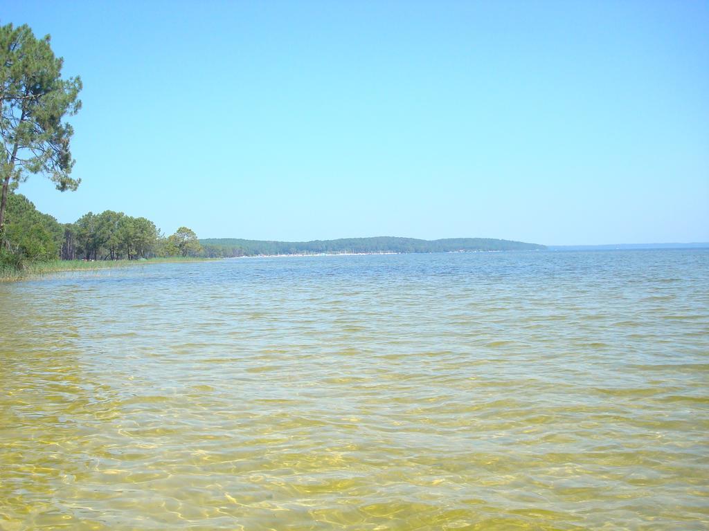 Studio Mansarde Climatise Les Roseaux Bord De Lac Biscarrosse Dış mekan fotoğraf