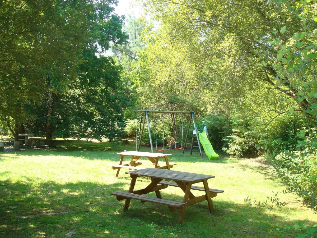 Studio Mansarde Climatise Les Roseaux Bord De Lac Biscarrosse Oda fotoğraf